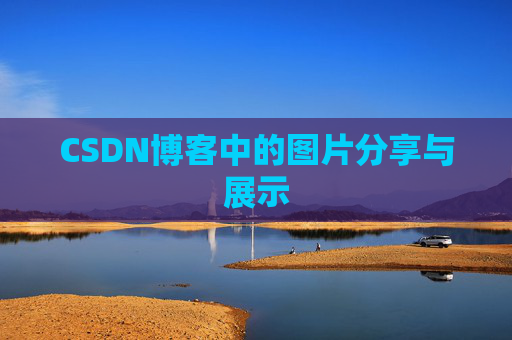 CSDN博客中的图片分享与展示
